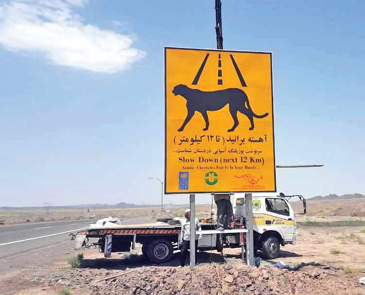 جایی برای زندگی یوزها