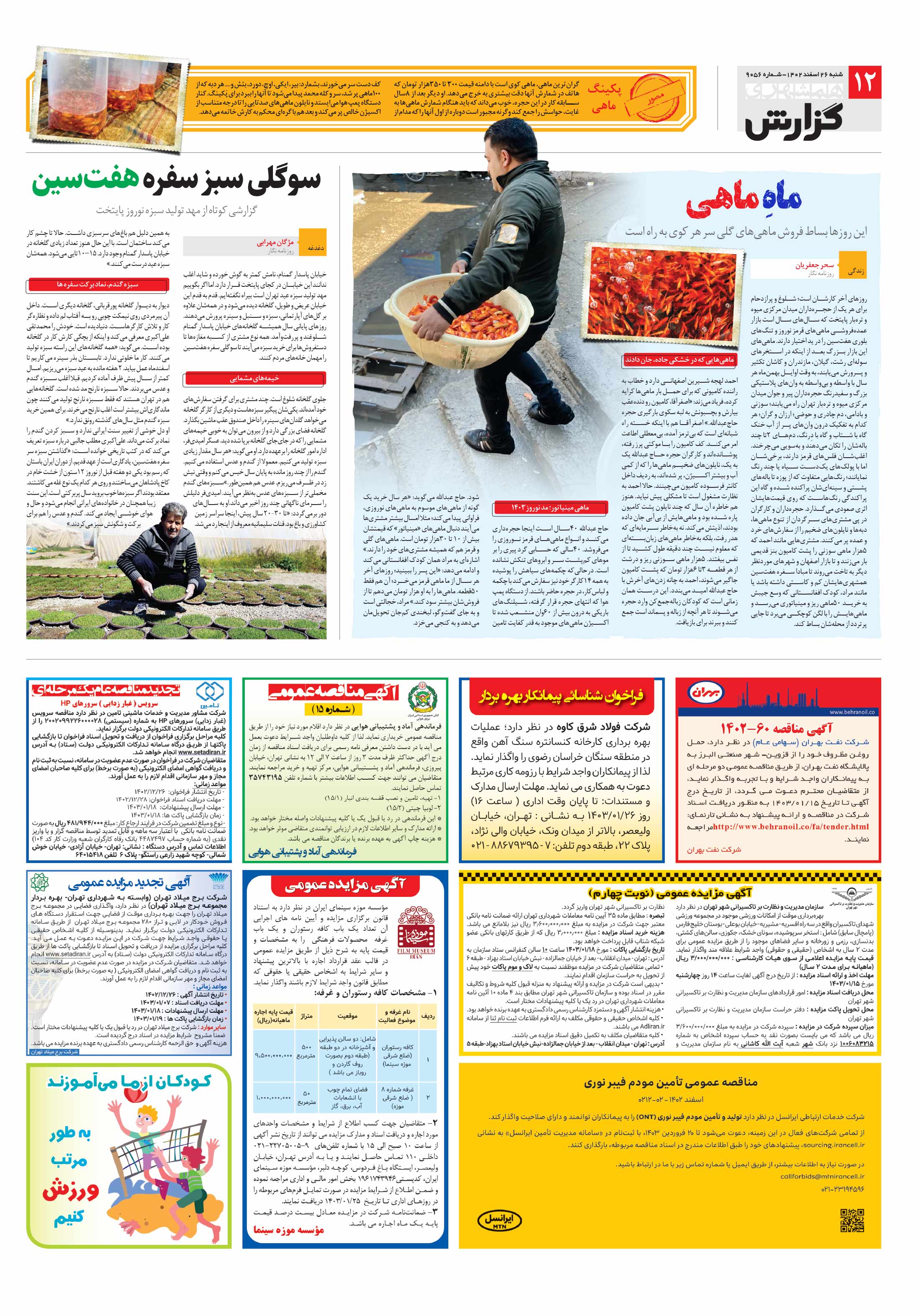 همشهری گزارش