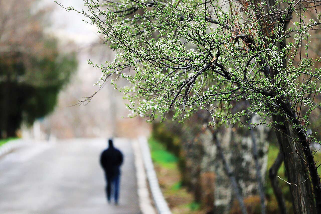 روز جهانی پیاده روی