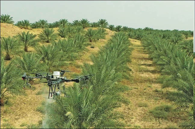 کشاورزی هوشمند با پهپاد گرده‌افشان ایرانی