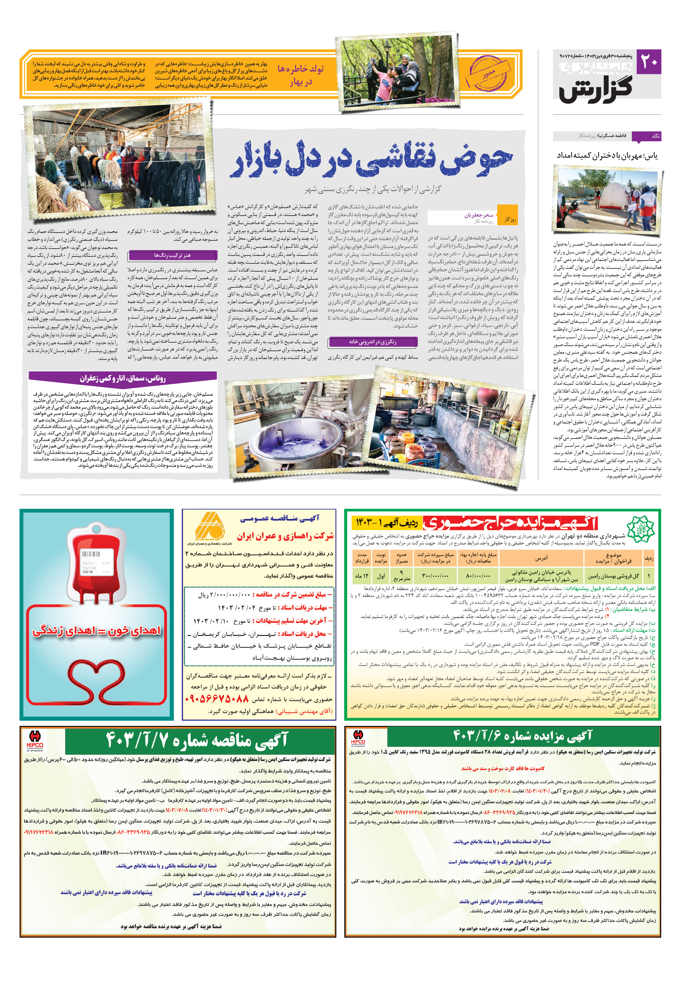 همشهری گزارش