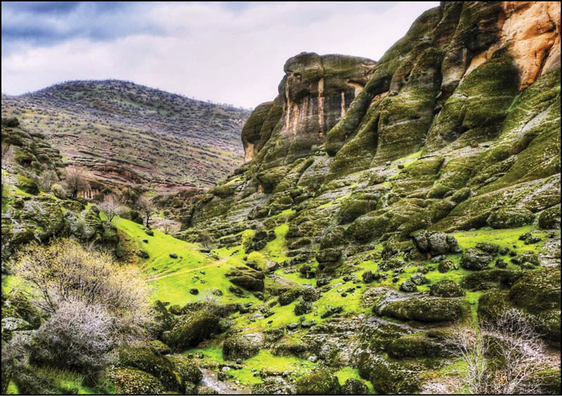 طبیعت بهاری «مخمل‌کوه»