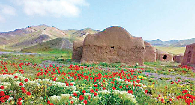 ‌‌«کشمیر»‌ این بار در ایران