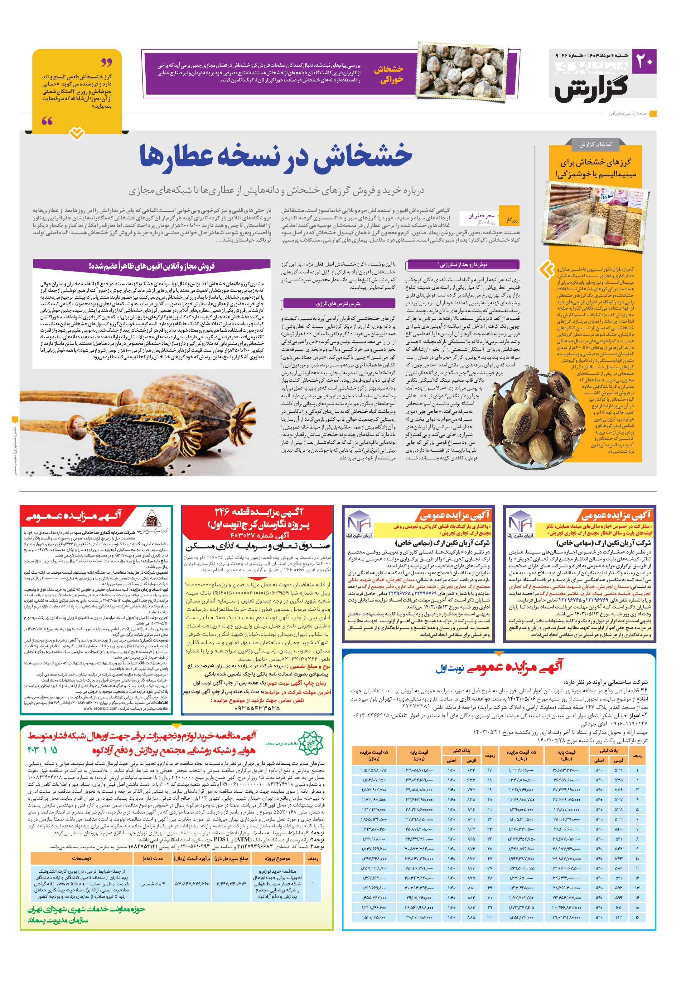 همشهری گزارش