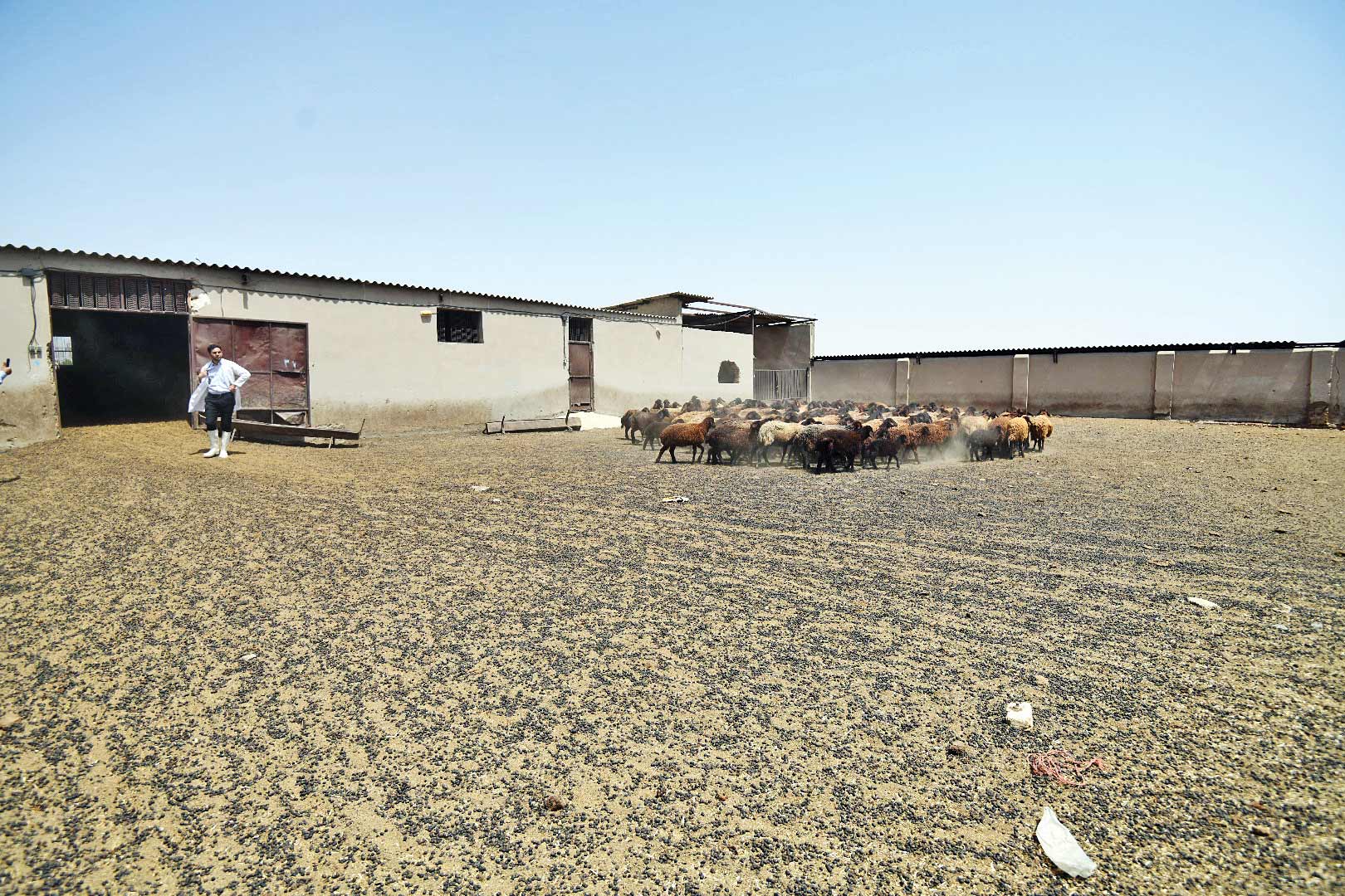 صنعت کنار فلاحت