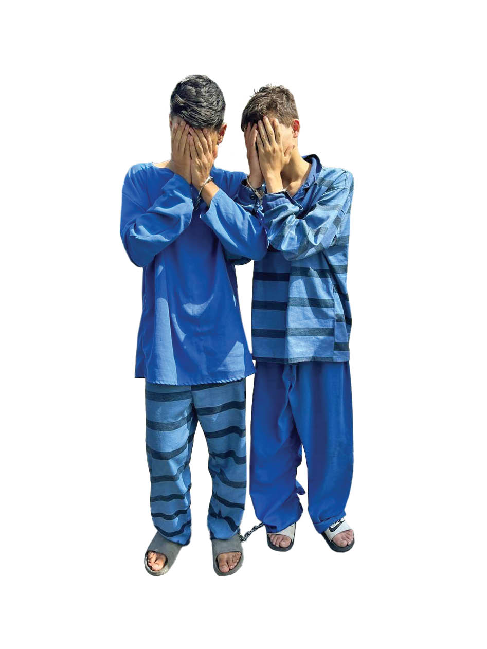 تجربه هیجان، انگیزه عجیب سارق
