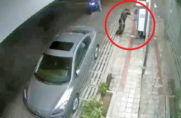 زورگیران زعفرانیه به محل سرقت برگشتند