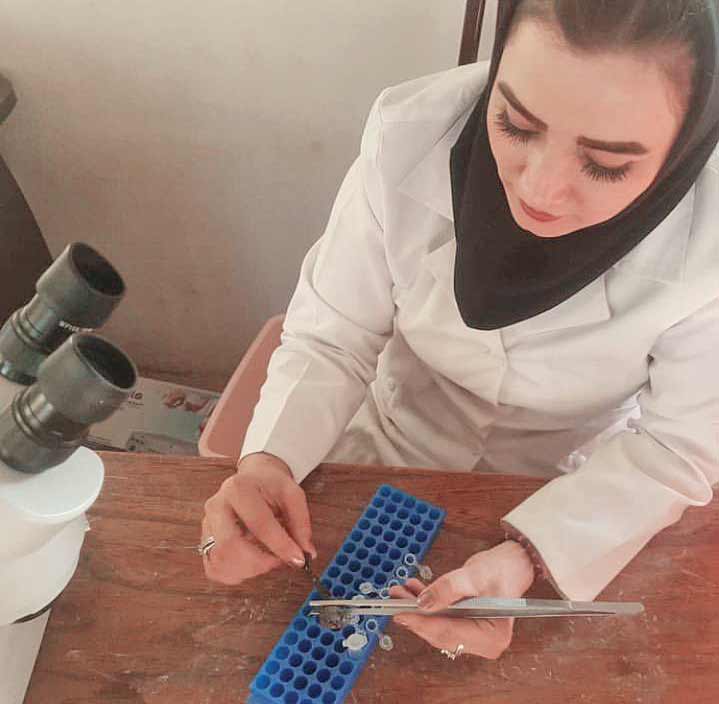 میانداری دلالان