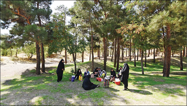 بانوان منطقه۷ صاحب بوستان می‌شوند