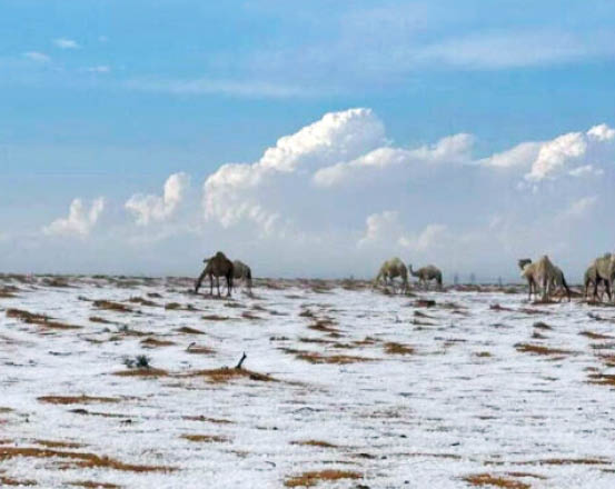به تماشای صحراهای سپید