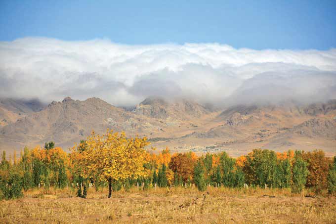 مه در زنجان، باران در گیلان