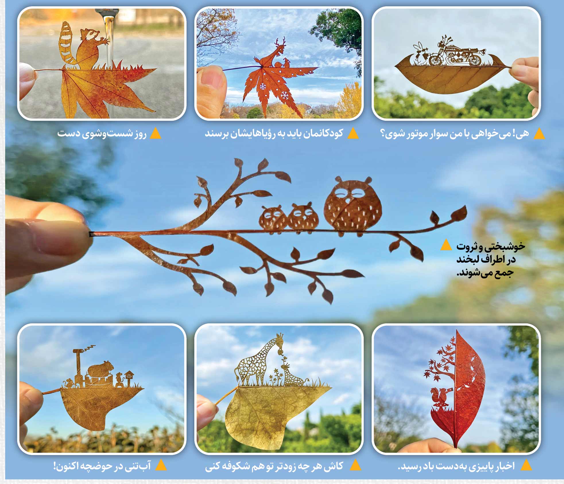 خوشبختی اطراف لبخند