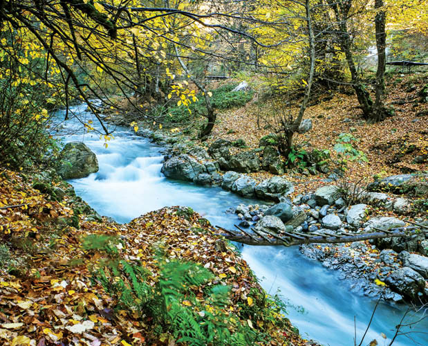 پاییز هیرکانی