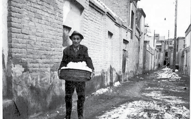 سر سیاه زمستان