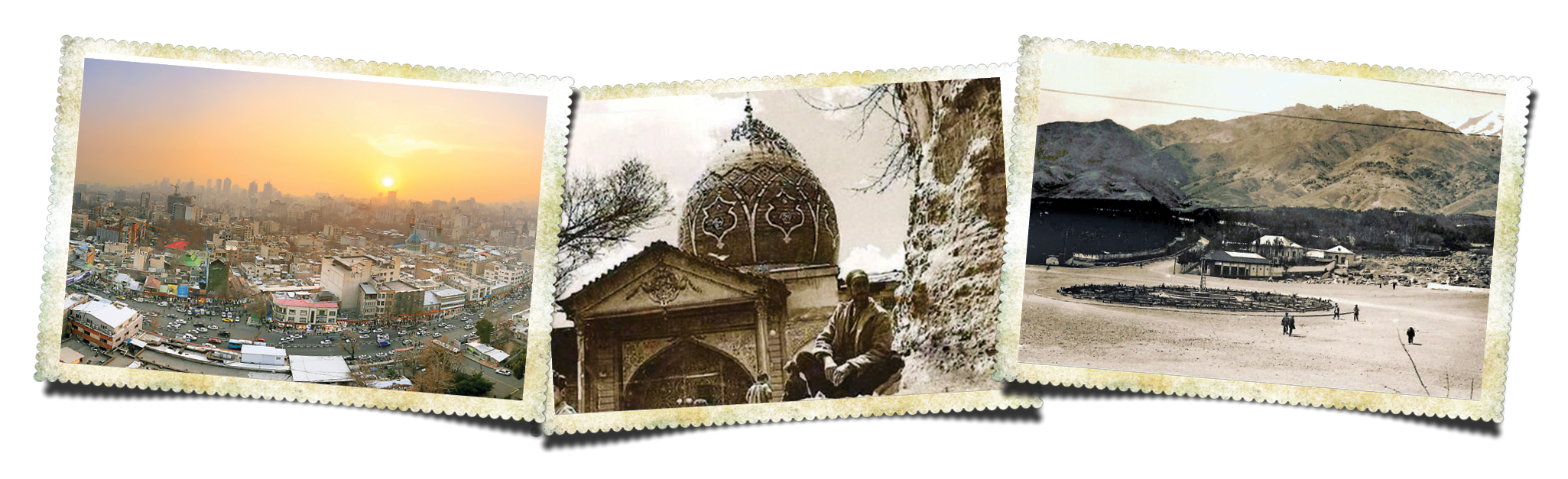 چناری در شیب تند