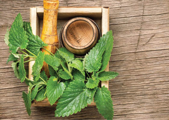 پاکسازی بدن و هوا