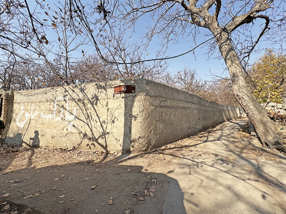راز جاری ترنا در کوچه‌باغ‌های کن