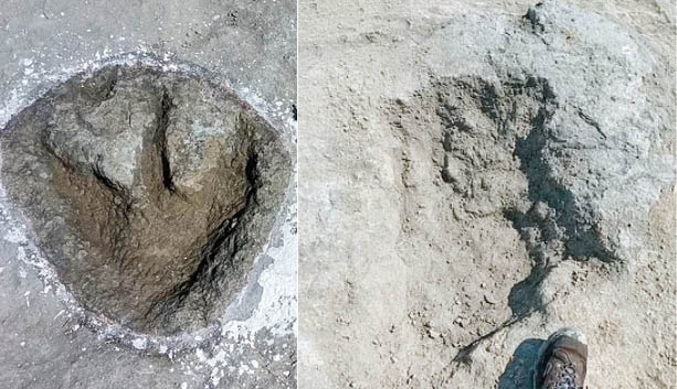 بزرگراه دایناسورها