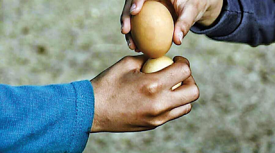 جنگ تخم‌مرغی