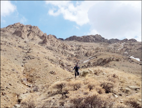سیاه‌سر