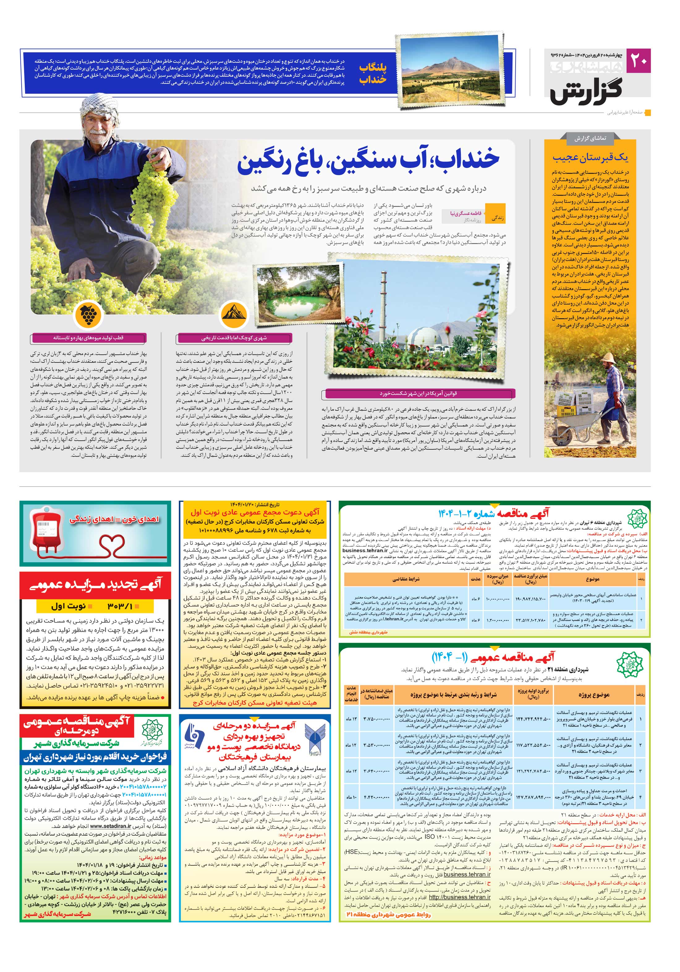 همشهری گزارش