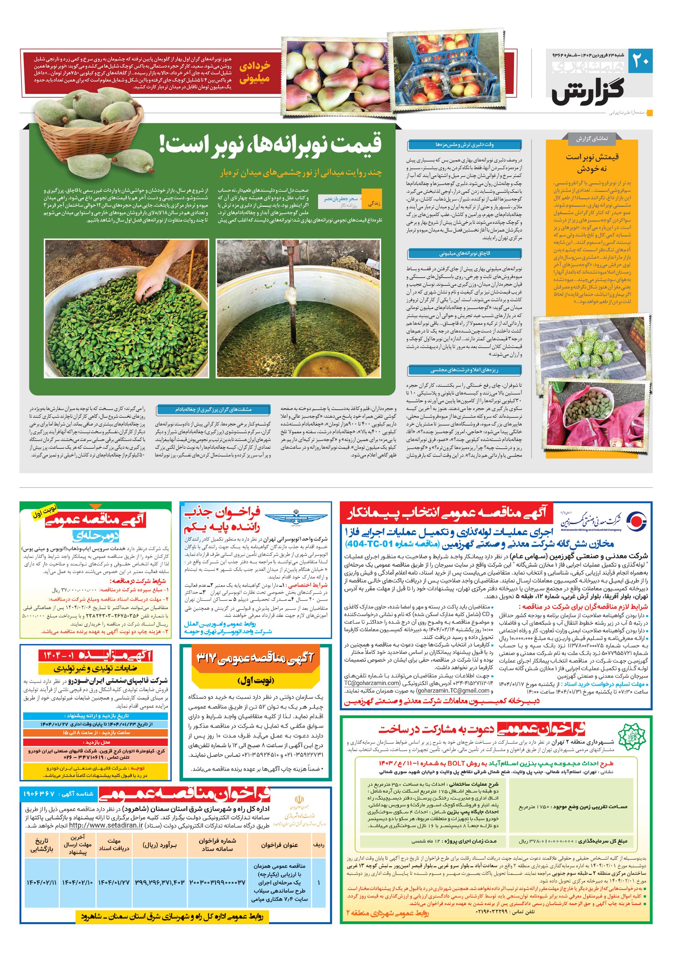 همشهری گزارش