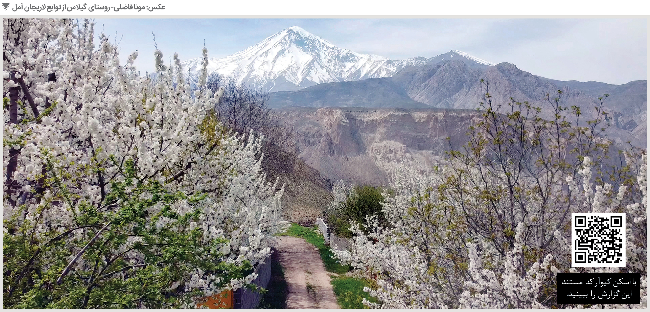 اینجا ژاپن نیست؛ روستای گیلاسه