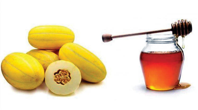 خوردن خربزه و عسل با هم، کشنده است؟