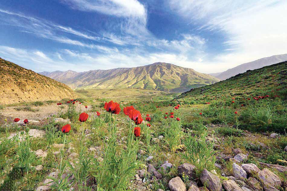 گشایش پارک ملی لار