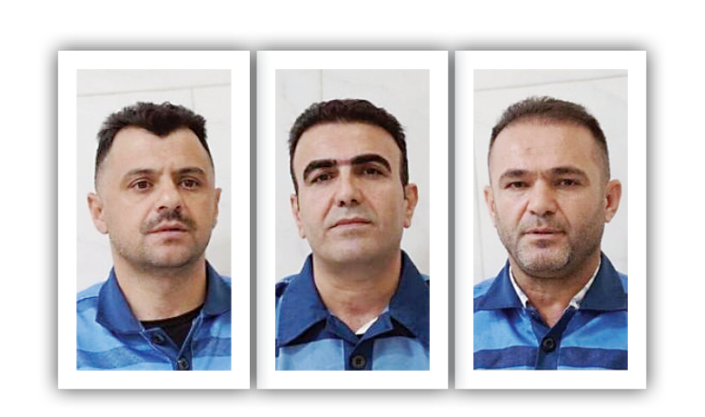جاسوسی در پوشش کولبری