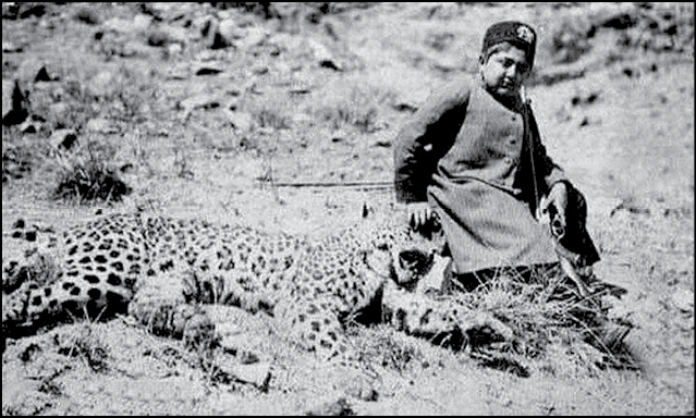 قله پلنگ های تهران