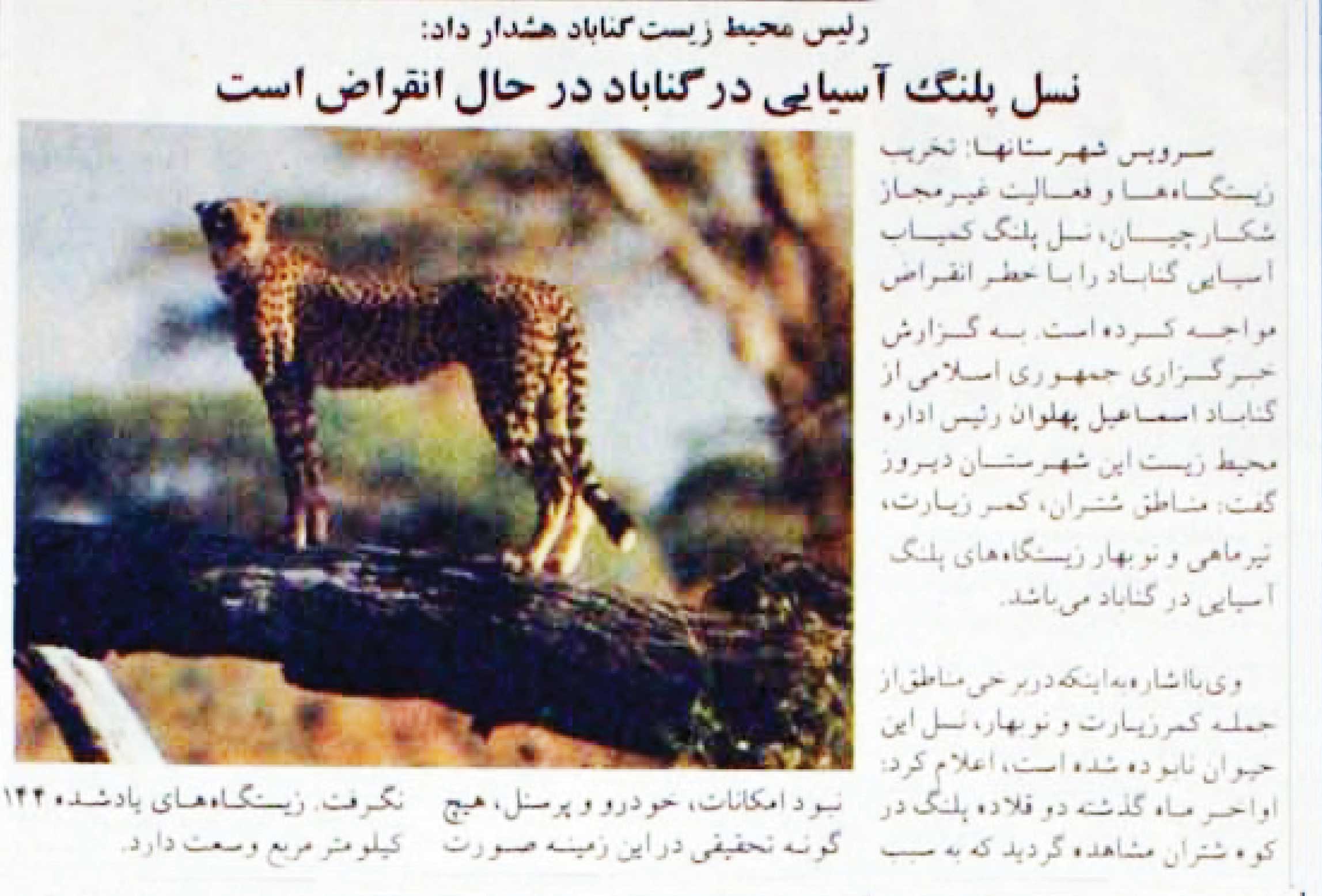 سلام به پلنگ آسیایی