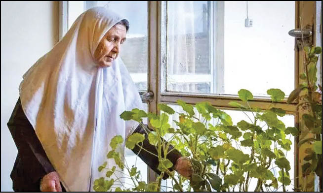 تنهايي به وقت سالمندی
