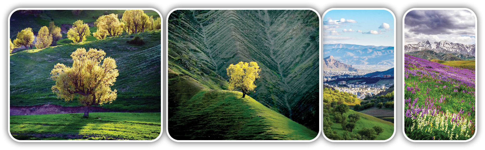 سروده‌ای از نور و رنگ در قاب دوربین