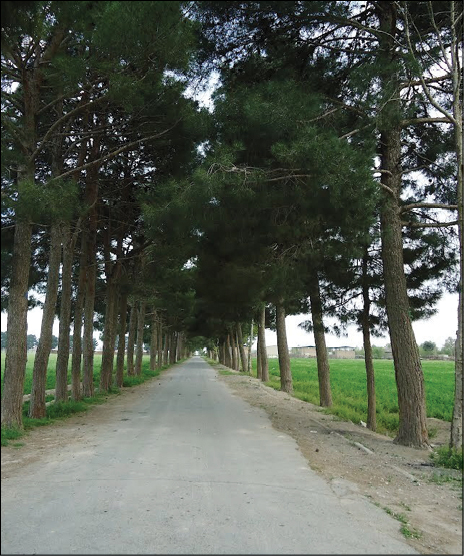 روستای احمدآباد مستوفی