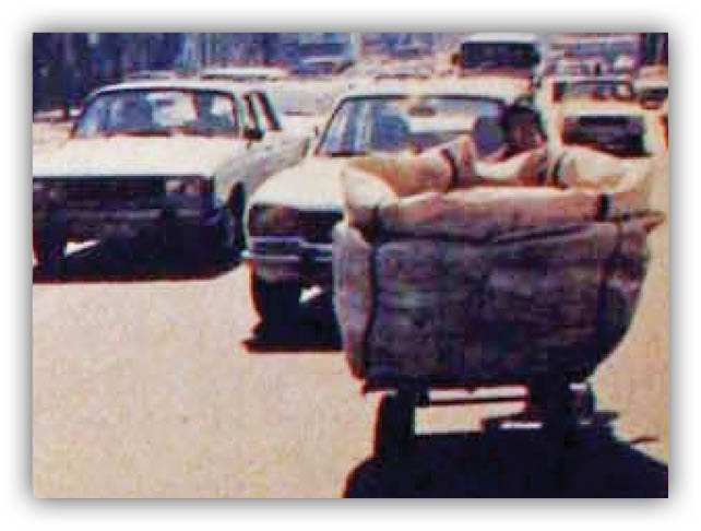 احترام به نان
