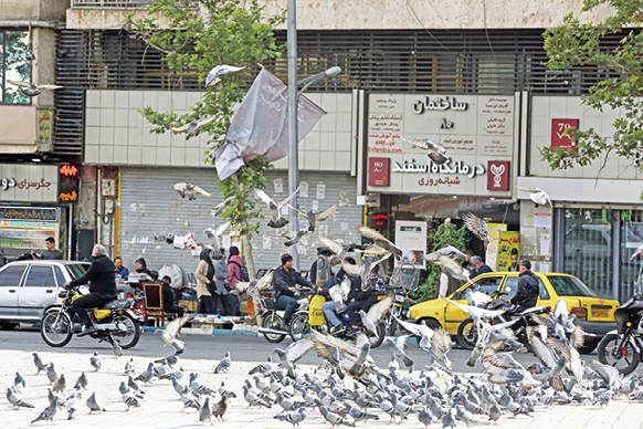 عادت