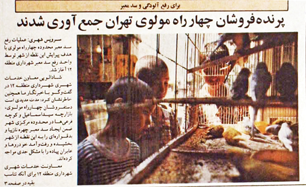 پرندگان زینتی