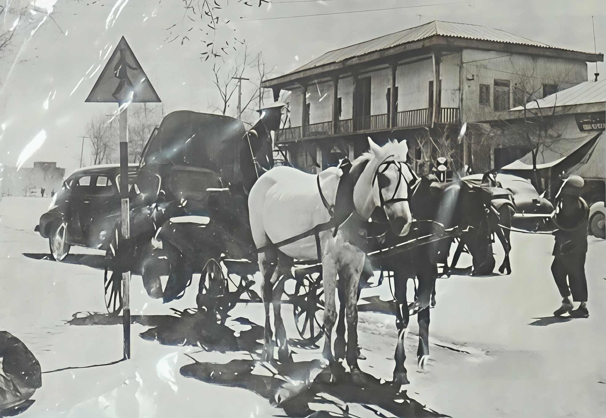 سفر به تجریش با درشکه