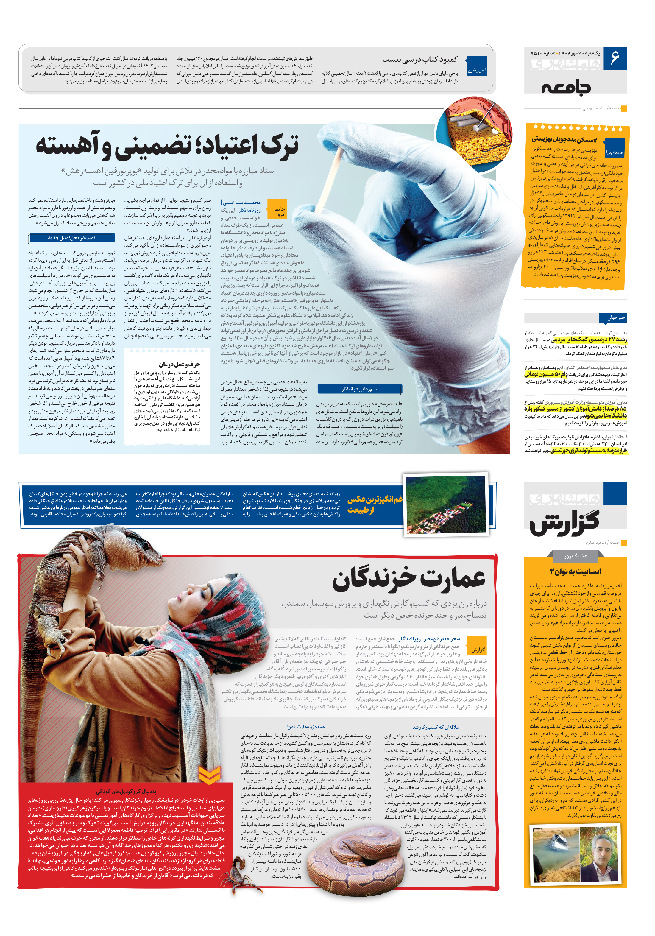 همشهری گزارش