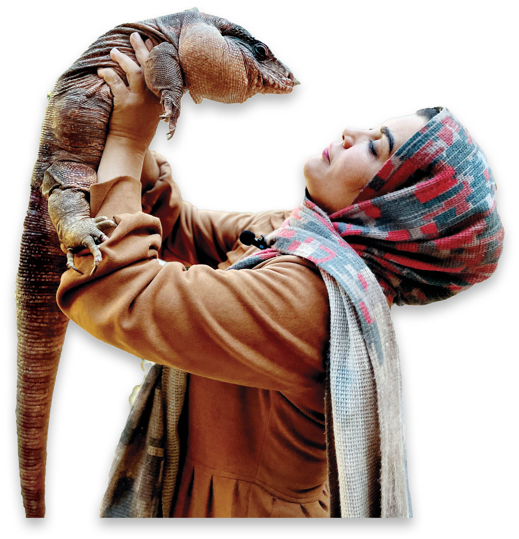 عمارت خزندگان