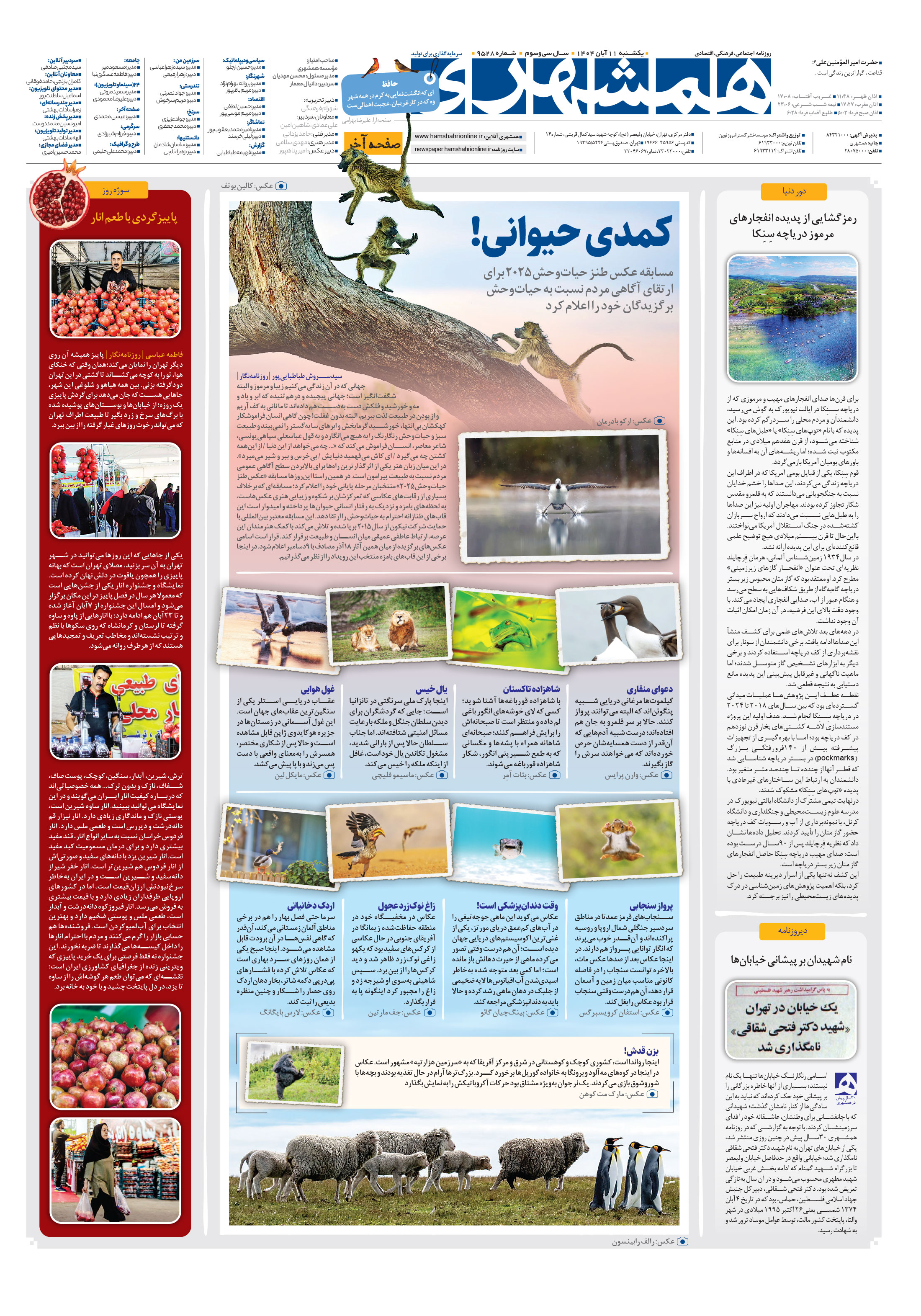 صفحه‌آخر