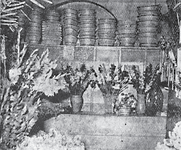 میراث معطر «مسیو پروتیوا»