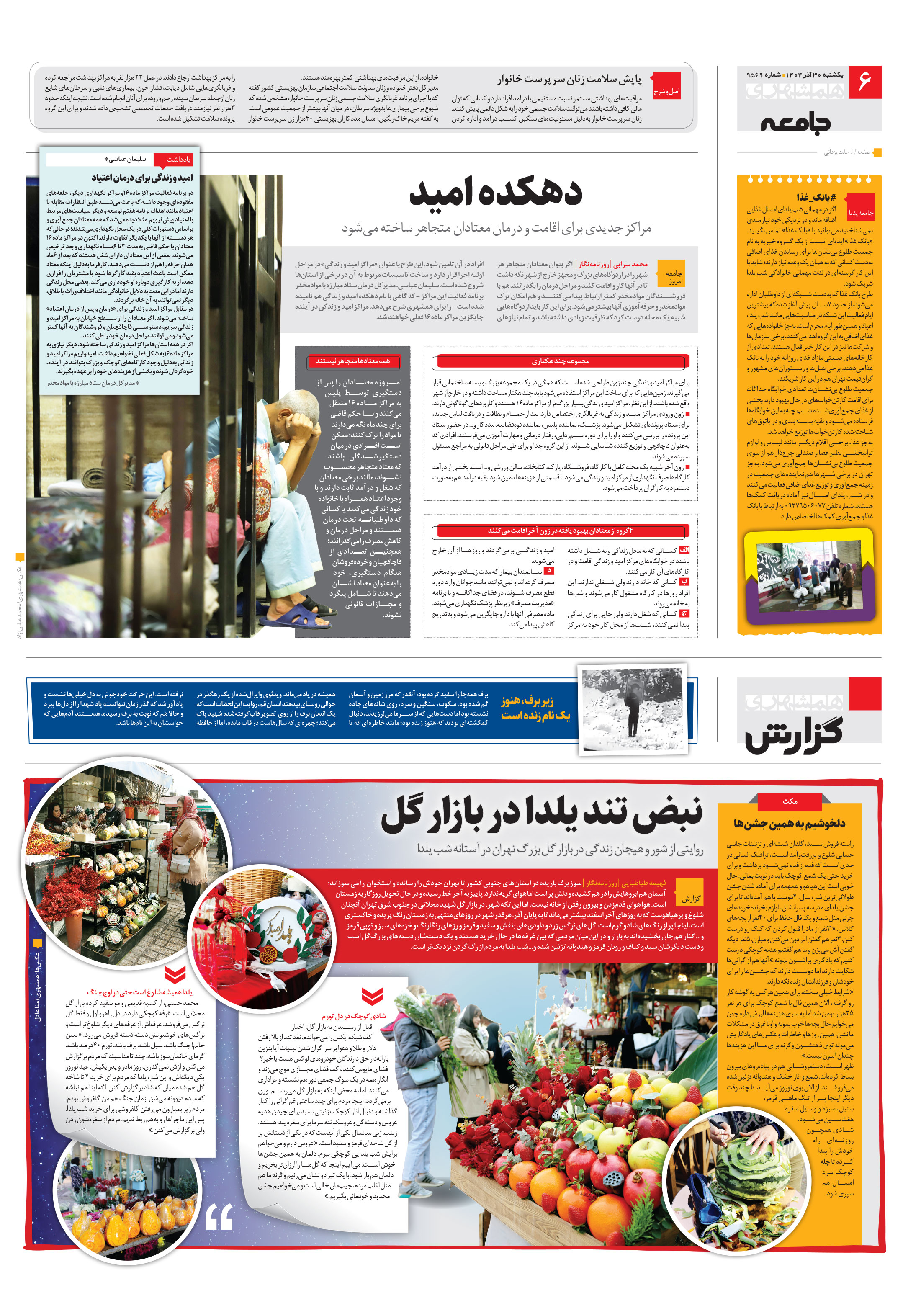 همشهری گزارش