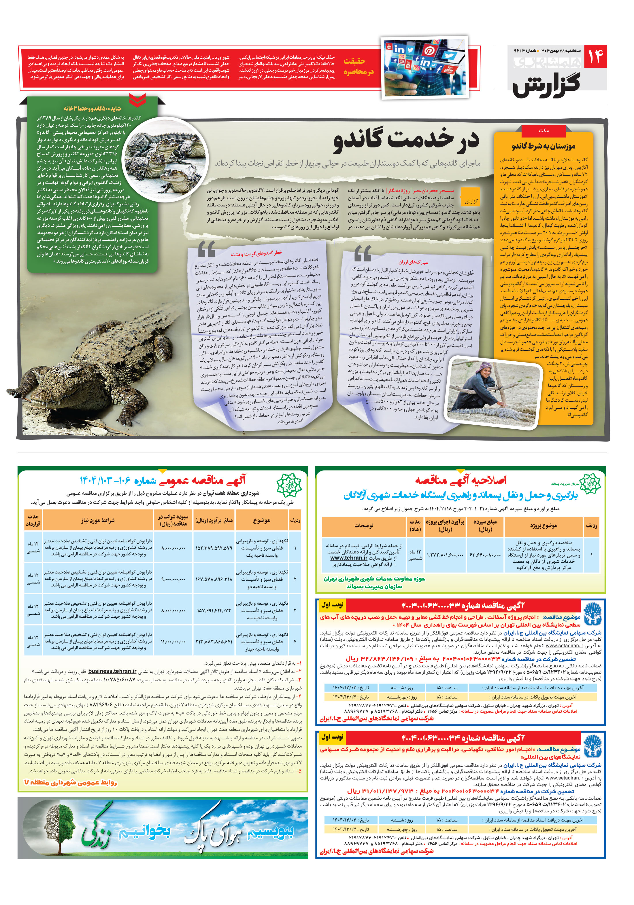 همشهری گزارش