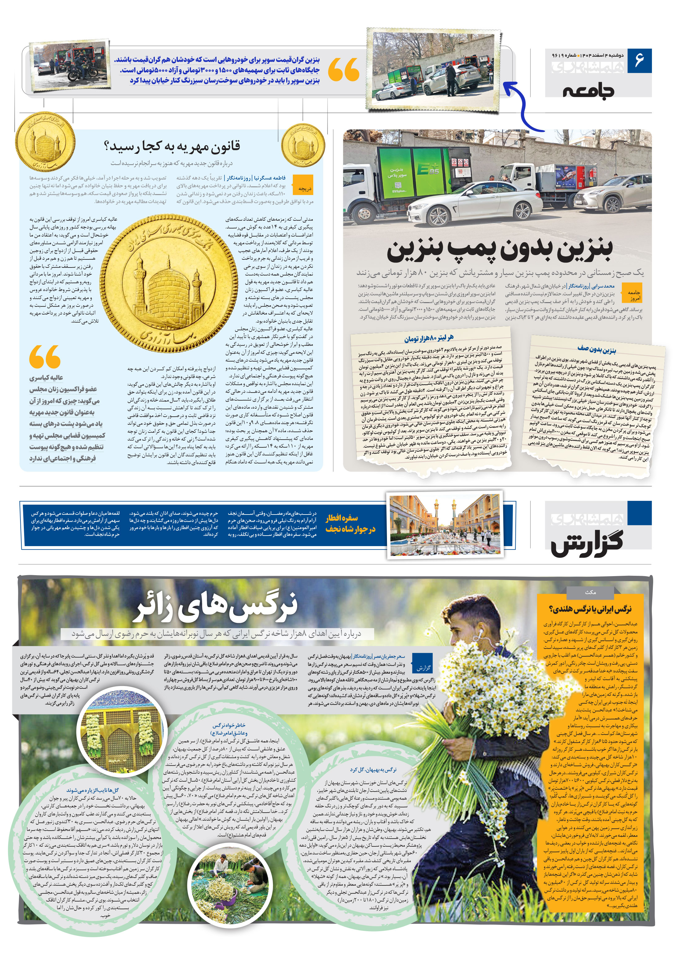 همشهری گزارش