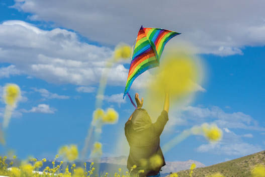 زندگی مهار نمی‌شود