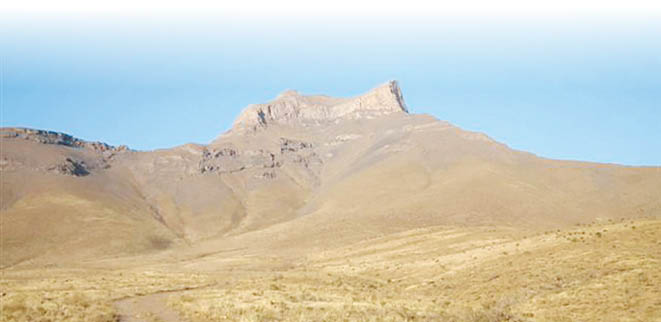 روز فردوسی