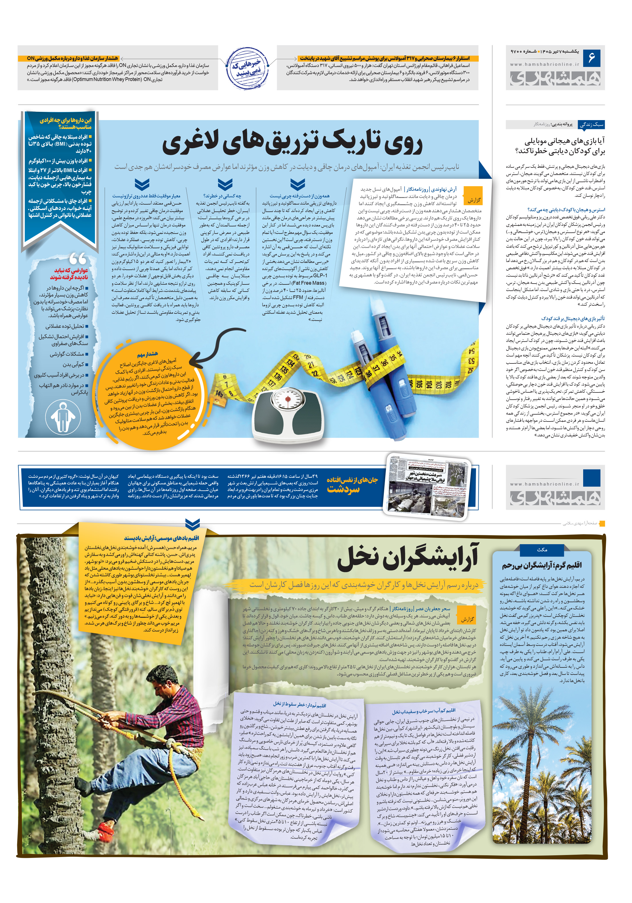 جامعه