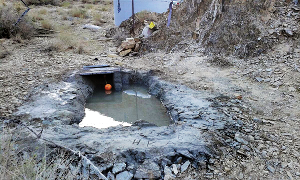 سقای شنزارهای تشنه